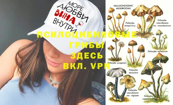 твердый Богданович