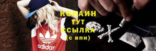 ПСИЛОЦИБИНОВЫЕ ГРИБЫ Сатка