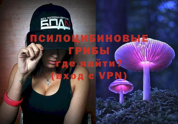 твердый Богданович