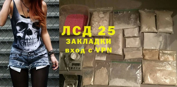 твердый Богданович