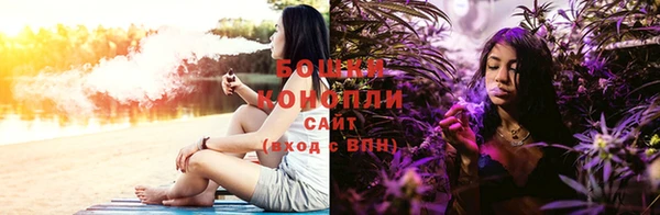 твердый Богданович