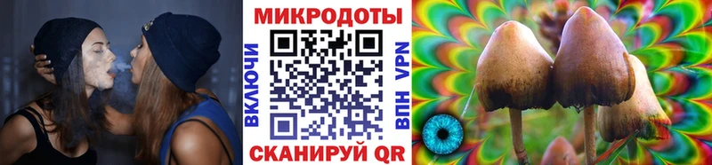 Галлюциногенные грибы Cubensis  Берёзовка 